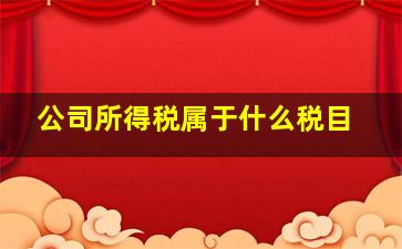 公司所得税属于什么税目