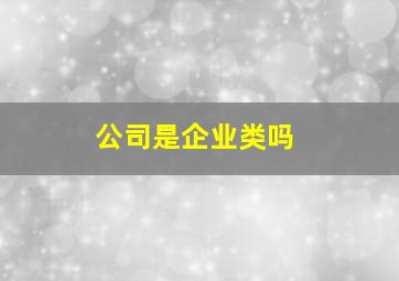 公司是企业类吗