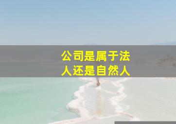 公司是属于法人还是自然人