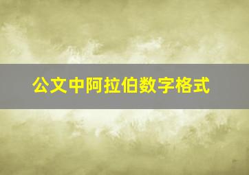 公文中阿拉伯数字格式