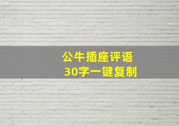 公牛插座评语30字一键复制