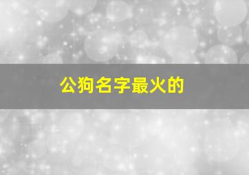 公狗名字最火的