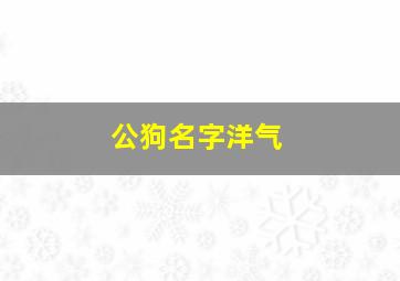 公狗名字洋气