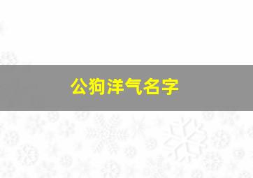 公狗洋气名字