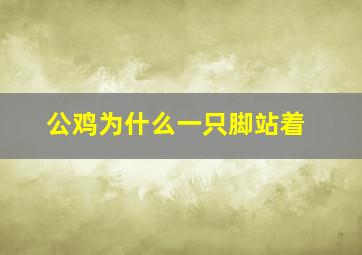 公鸡为什么一只脚站着