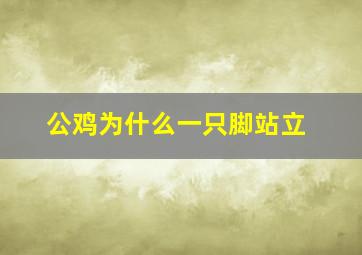 公鸡为什么一只脚站立