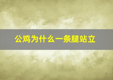 公鸡为什么一条腿站立