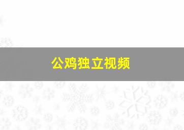 公鸡独立视频