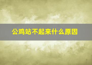 公鸡站不起来什么原因