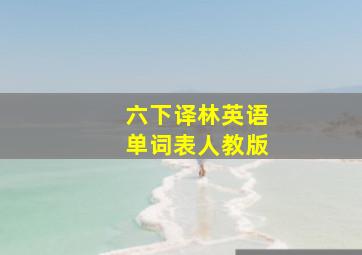 六下译林英语单词表人教版