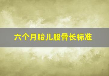 六个月胎儿股骨长标准