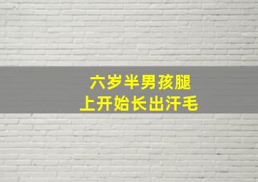 六岁半男孩腿上开始长出汗毛