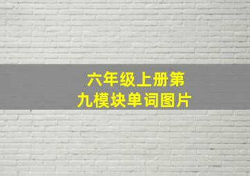 六年级上册第九模块单词图片