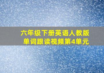 六年级下册英语人教版单词跟读视频第4单元