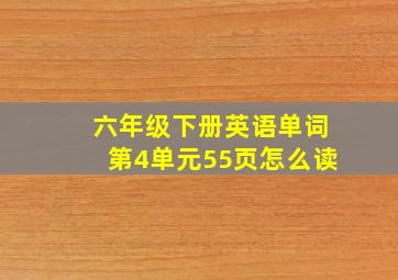 六年级下册英语单词第4单元55页怎么读