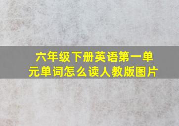 六年级下册英语第一单元单词怎么读人教版图片