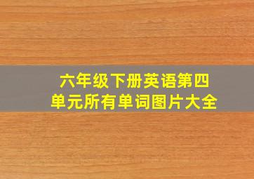 六年级下册英语第四单元所有单词图片大全