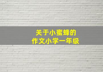 关于小蜜蜂的作文小学一年级