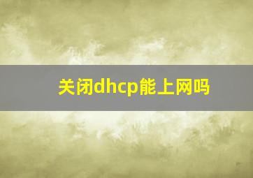 关闭dhcp能上网吗