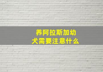 养阿拉斯加幼犬需要注意什么