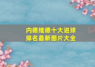 内德维德十大进球排名最新图片大全