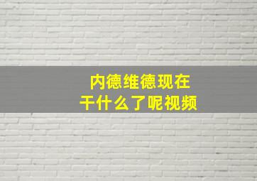 内德维德现在干什么了呢视频