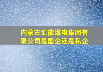 内蒙古汇能煤电集团有限公司是国企还是私企