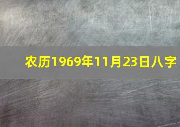 农历1969年11月23日八字