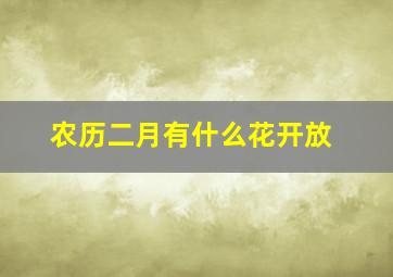 农历二月有什么花开放