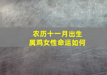 农历十一月出生属鸡女性命运如何