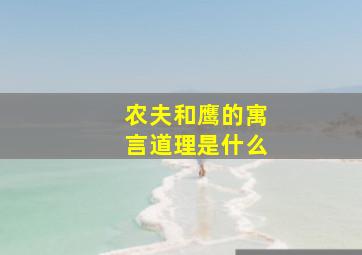 农夫和鹰的寓言道理是什么