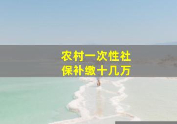 农村一次性社保补缴十几万