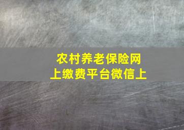 农村养老保险网上缴费平台微信上