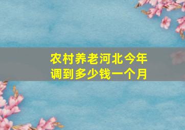 农村养老河北今年调到多少钱一个月