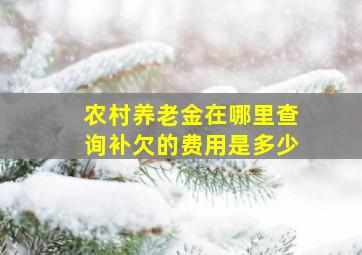 农村养老金在哪里查询补欠的费用是多少