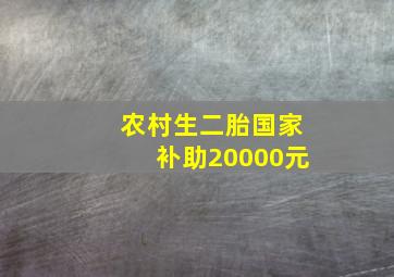 农村生二胎国家补助20000元