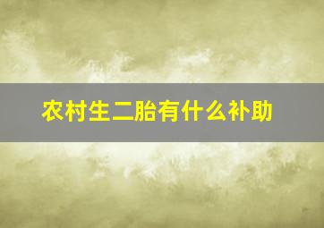 农村生二胎有什么补助