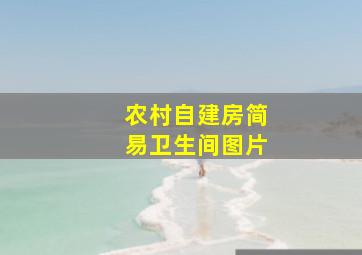 农村自建房简易卫生间图片