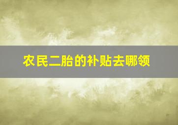 农民二胎的补贴去哪领