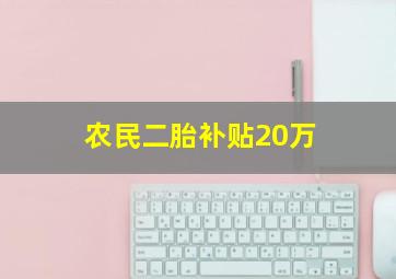 农民二胎补贴20万