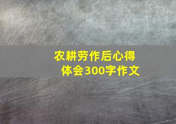 农耕劳作后心得体会300字作文