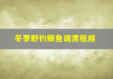 冬季野钓鲫鱼调漂视频