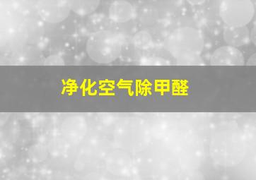 净化空气除甲醛