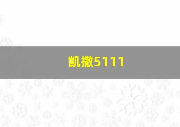 凯撒5111