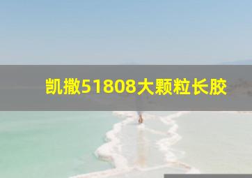 凯撒51808大颗粒长胶