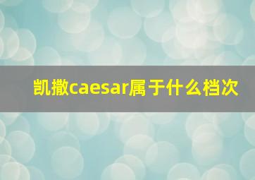 凯撒caesar属于什么档次