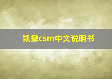 凯撒csm中文说明书