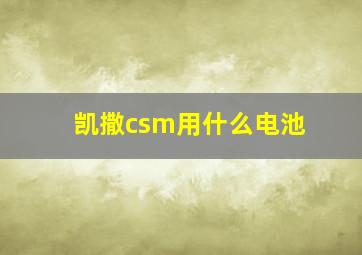 凯撒csm用什么电池