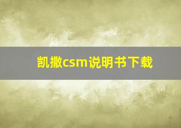 凯撒csm说明书下载