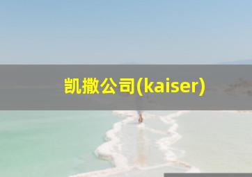 凯撒公司(kaiser)